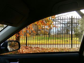 Interior of car