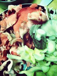 Close-up of food