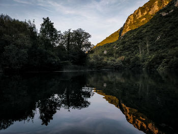 Scenic view of lake by trees against sky