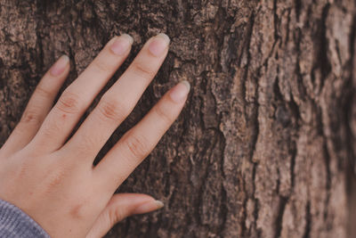 Close-up of hand touching tree trunk