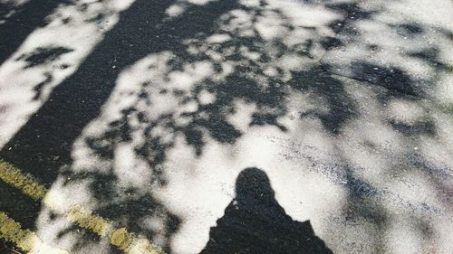 Shadow of person on wall