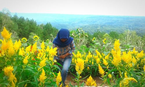 Scenic view of sunflower field against clear sky