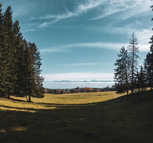 Scenic view of field against sky