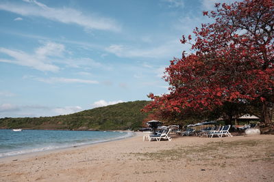Car on beach by sea against sky