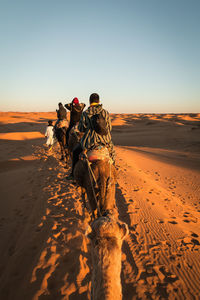 People riding camels on sand dune against sky