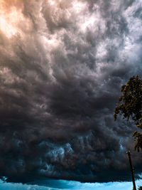 Storm clouds over plants