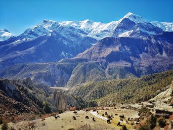 Panoramic shot of mountains against clear sky