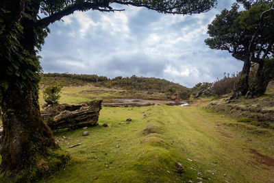 Scenic view of landscape against sky