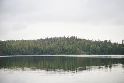 Scenic view of lake in forest against sky