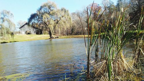 Scenic view of lake against clear sky