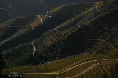 High angle view of douro valley