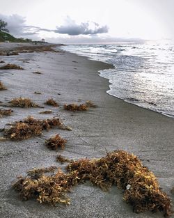 Scenic view of beach against sky