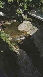 High angle view of rocks amidst trees