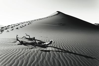 View of a desert