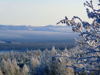 winter