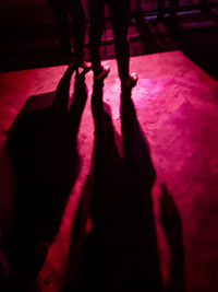 Low section of silhouette people walking at night