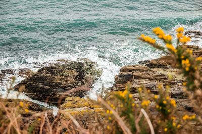 Close-up of rocky beach