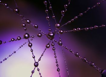 Close-up of illuminated string lights