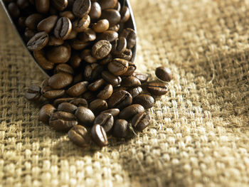 Close-up of roasted coffee beans on jute