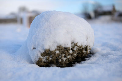 Close-up of snow