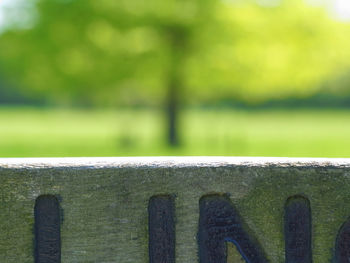 Close-up of metal fence against plants in park