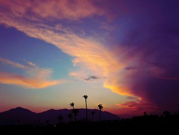 Silhouette of trees against dramatic sky