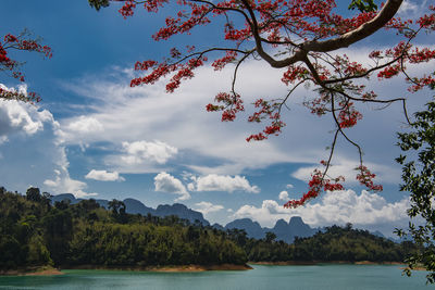 The reservoir at khao sok in surathani district in thailand