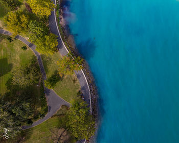 High angle view of trees by sea