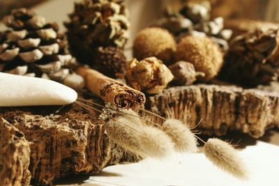 Close-up of cinnamon with dried plant and pine cones on rock