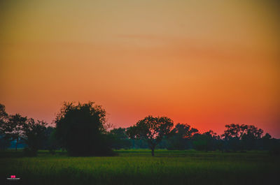 Silhouette trees on field against orange sky