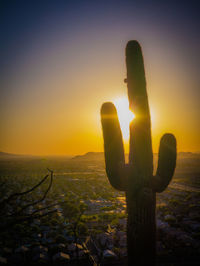 Silhouette of cactus against sky during sunset