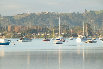 Boats moored in omokoroa channel.