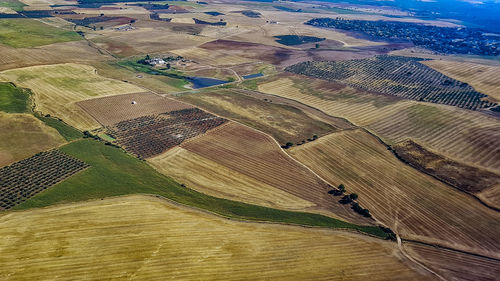 High angle view of agricultural field