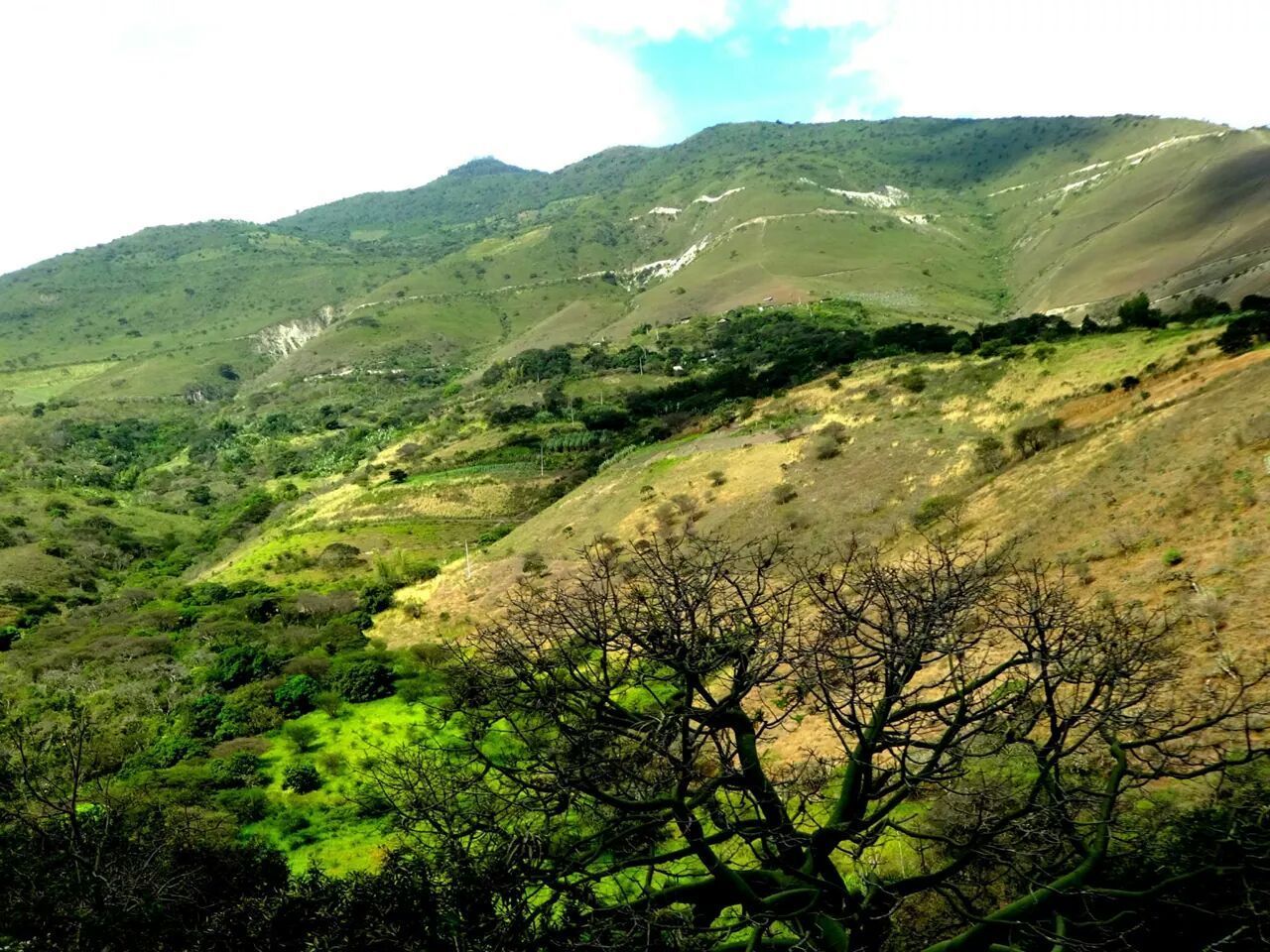 mountain, tranquil scene, tranquility, mountain range, scenics, beauty in nature, landscape, nature, tree, sky, non-urban scene, green color, growth, idyllic, remote, valley, day, lush foliage, hill, no people