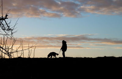 Silhouette man on field against sky during sunset