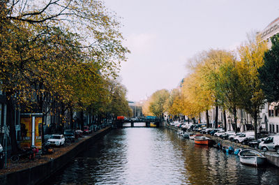 View of canal along trees