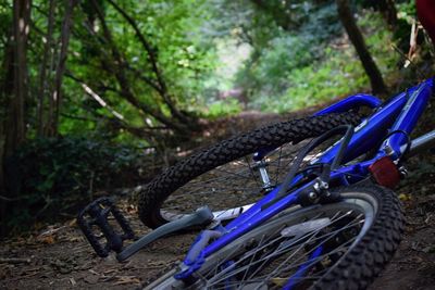 Fallen bicycle in forest