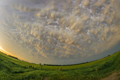 Scenic view of field against sky during sunset