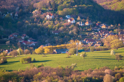 Trees on field by houses during autumn