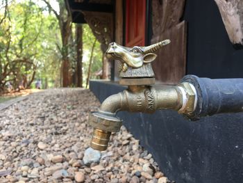 Close-up of statue on tap