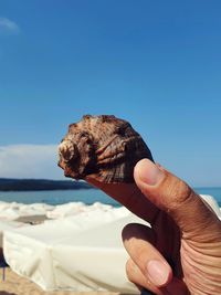 Person holding rock by sea against clear sky