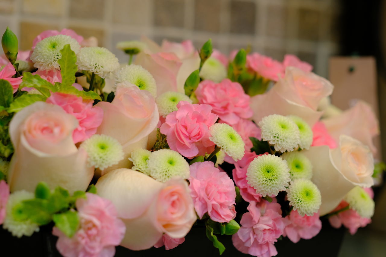 CLOSE-UP OF PINK FLOWERS ON BOUQUET