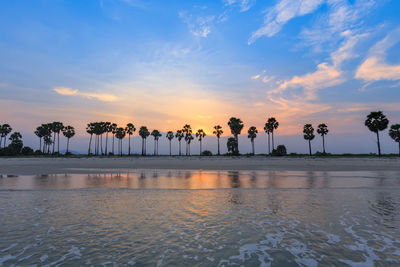 Palm trees by swimming pool against sky during sunset