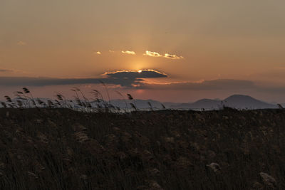 Scenic view of field against sky during sunset