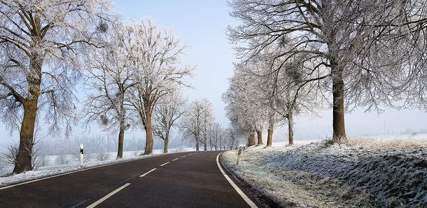 Empty road along bare trees against sky