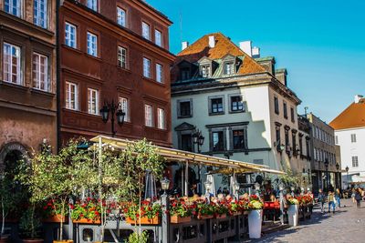 Potted plants by street against buildings in city