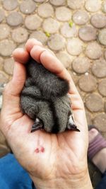 Close-up of person holding hand