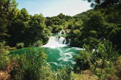 Scenic view of waterfall in forest