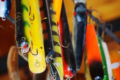 Close-up of multi colored pencils