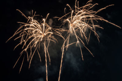 Low angle view of firework display at night